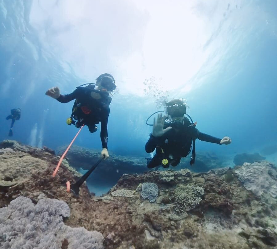 Pisces Diving Sodwana Bay-索德瓦纳必去景点