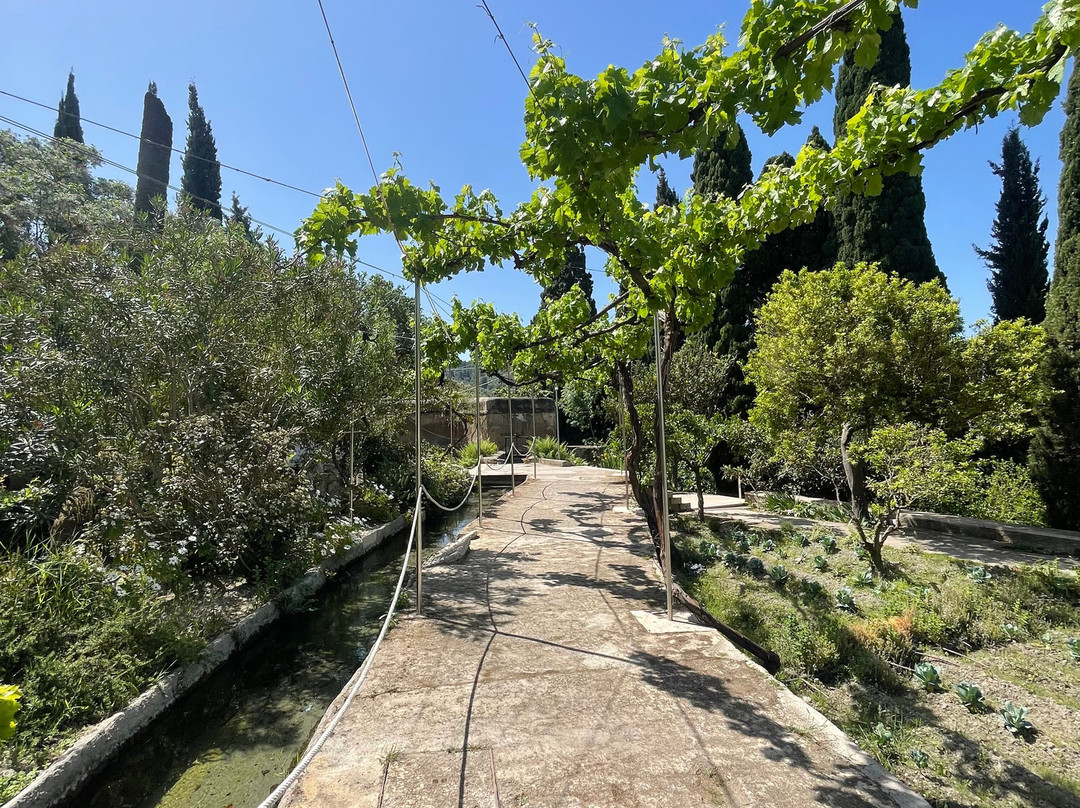 Jardin Nazari-Velez de Benaudalla必去景点