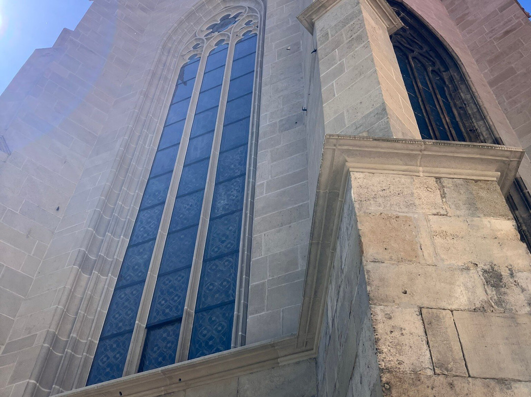 St. Martin´s Cathedral-布拉迪斯拉发必去景点