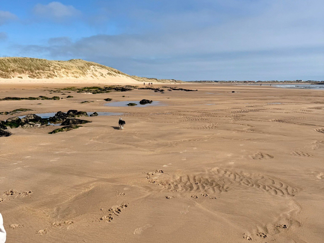 Beadnell Bay Beach-Beadnell必去景点