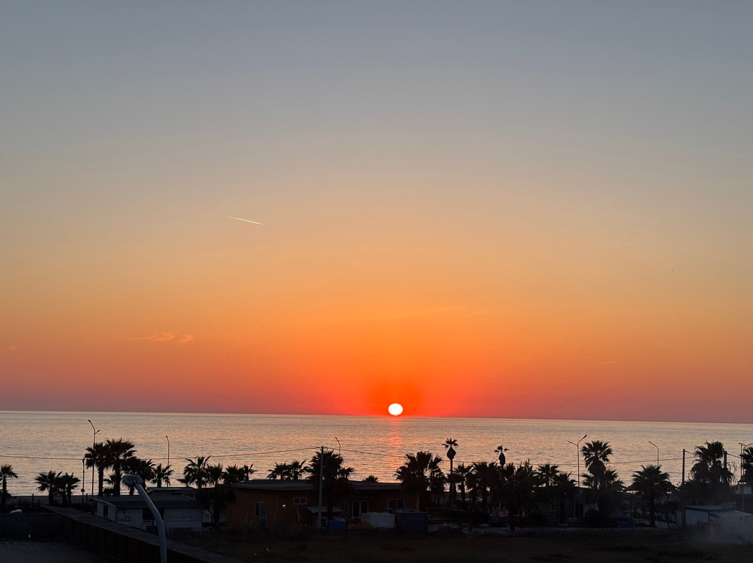 Albatros Beach & Resort