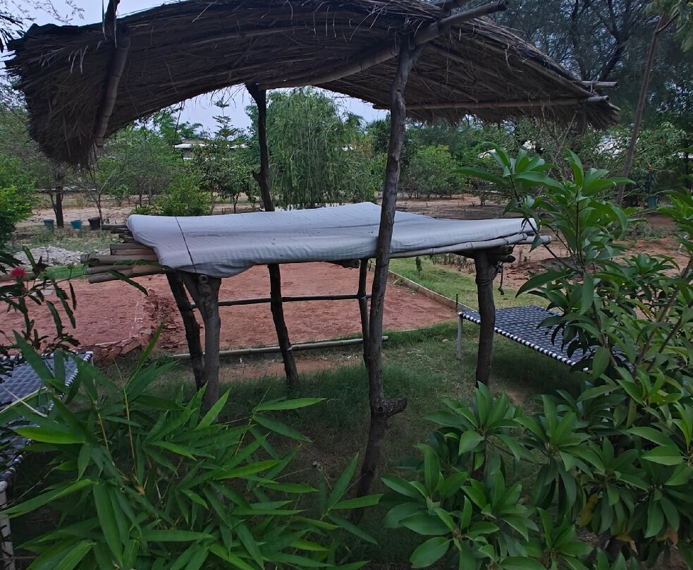Kutani Bagh Sariska主图