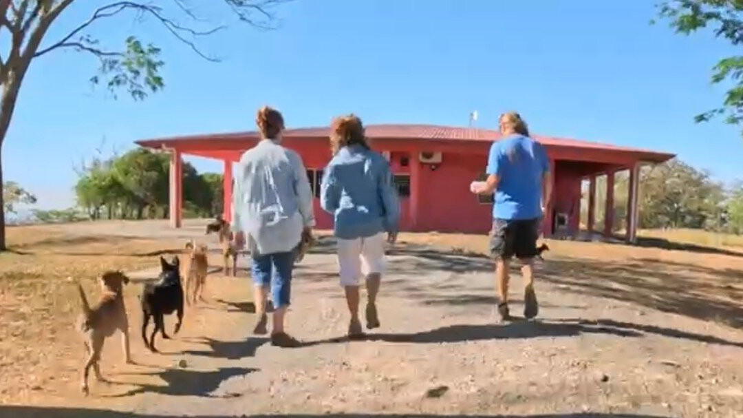 Guayabo Animal Rescue-Guayabo必去景点