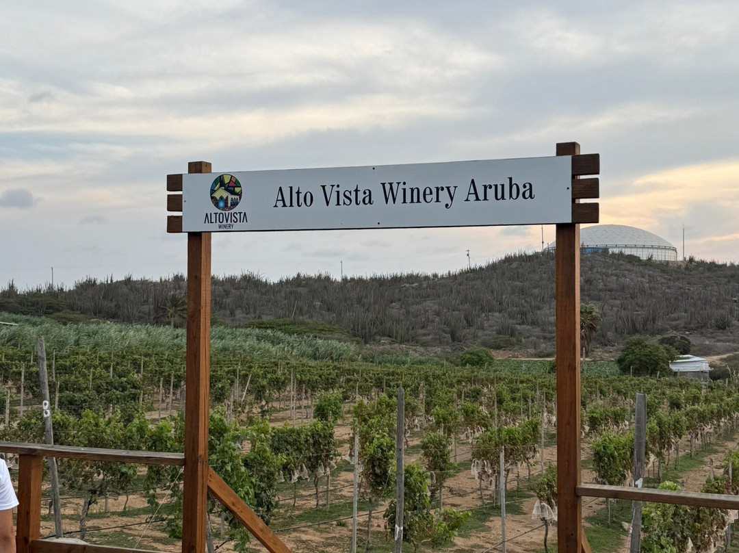 Alto Vista Winery-Noord必去景点