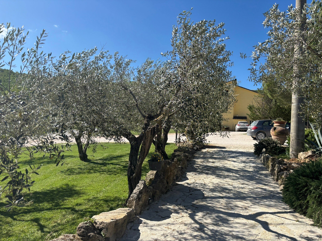 Fattoria Del Quondam主图