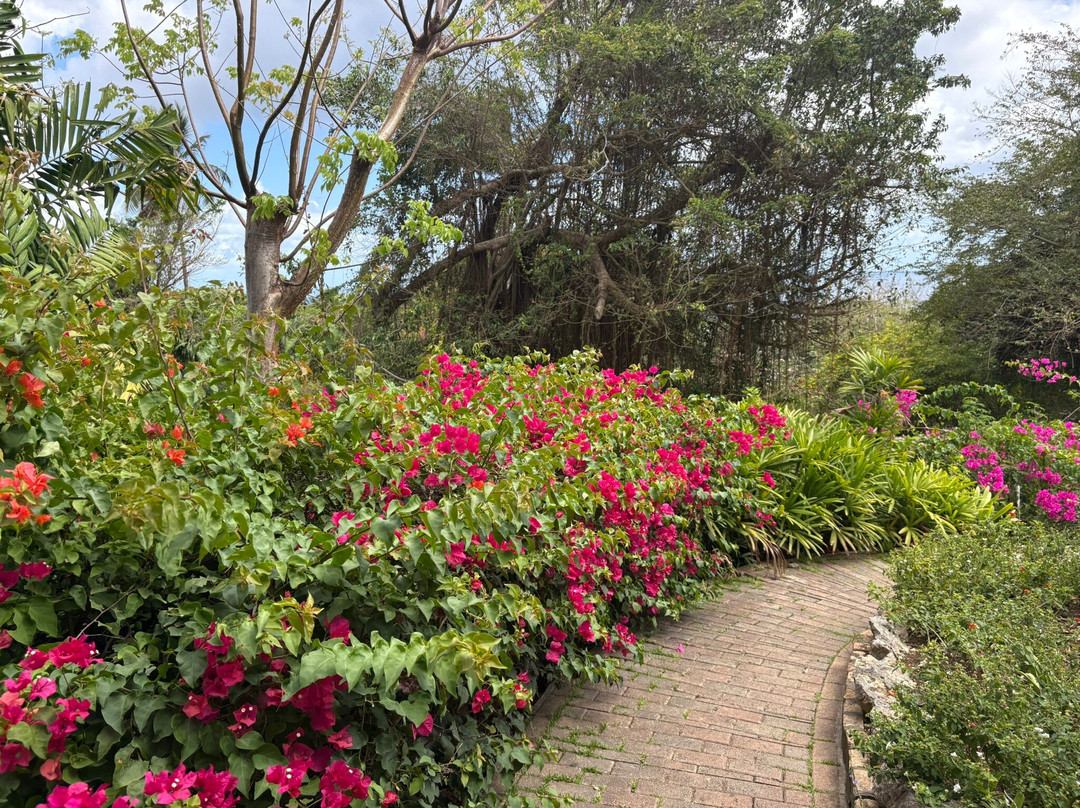 Andromeda Botanic Gardens-Bathsheba必去景点