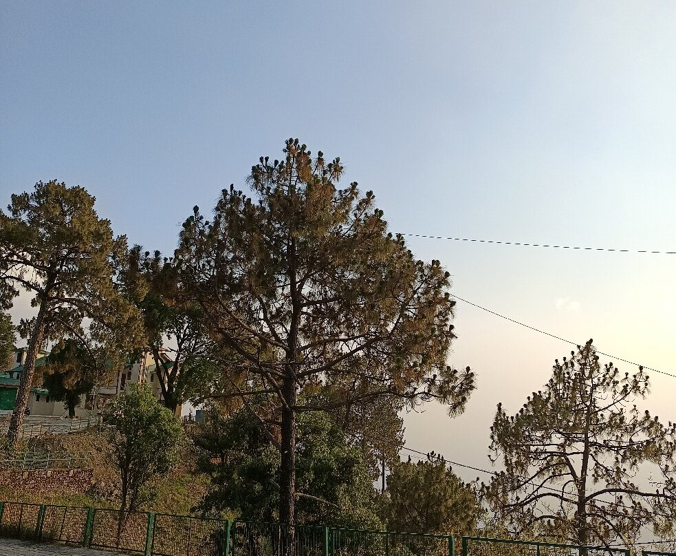 Sunset Point-Kasauli必去景点