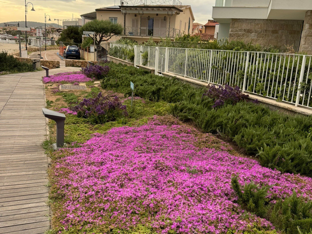 Lungomare Golfo Aranci la sirenetta-Golfo Aranci必去景点