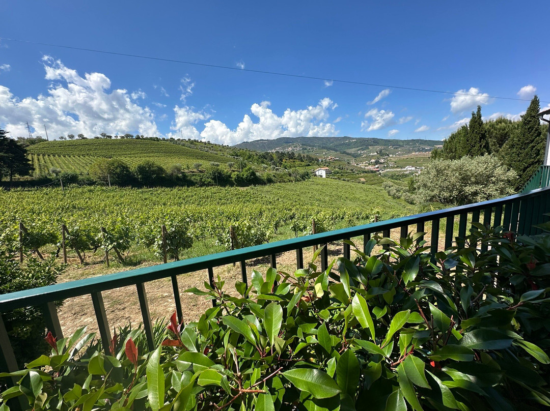 Douro Táxi-佩苏达雷瓜必去景点