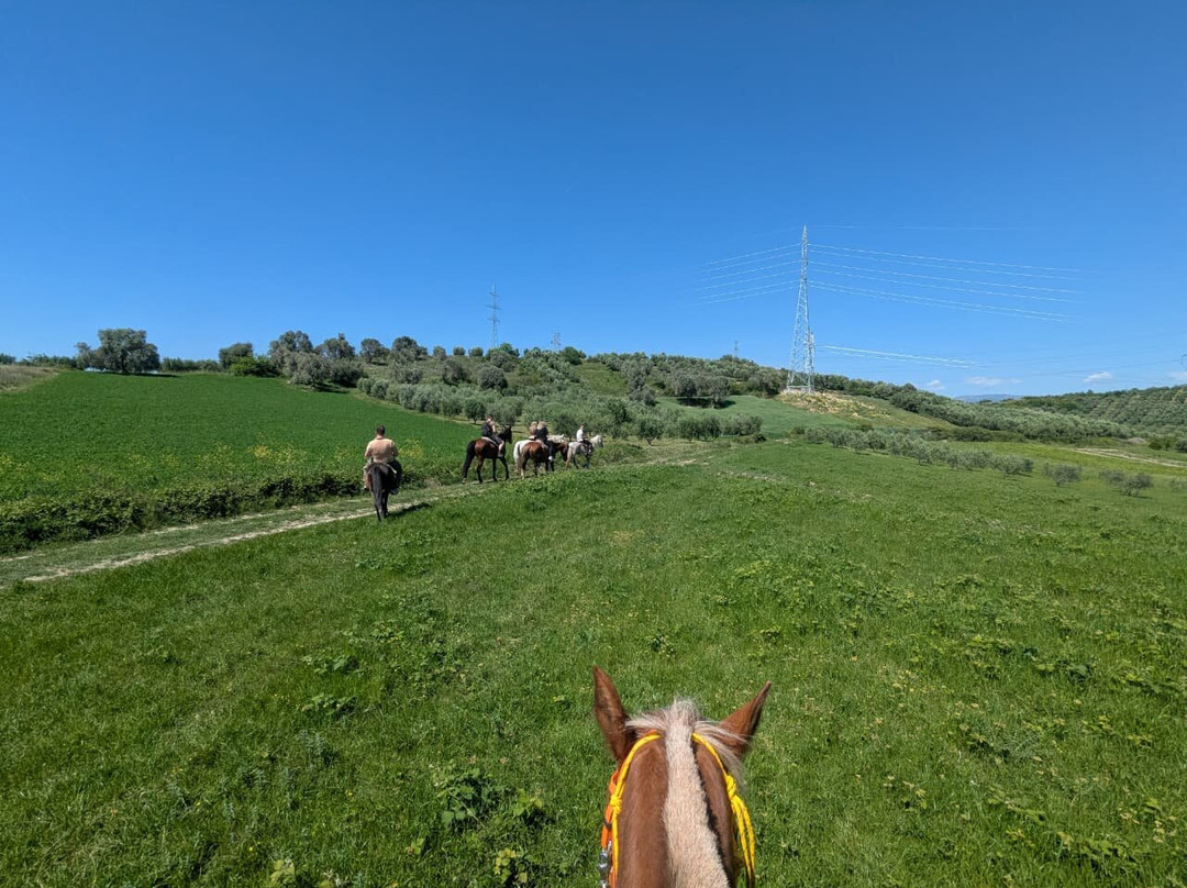 Horse Farm Santo-Elbasan必去景点