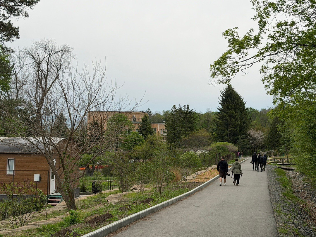 Botanical Garden-Institute-海参崴必去景点