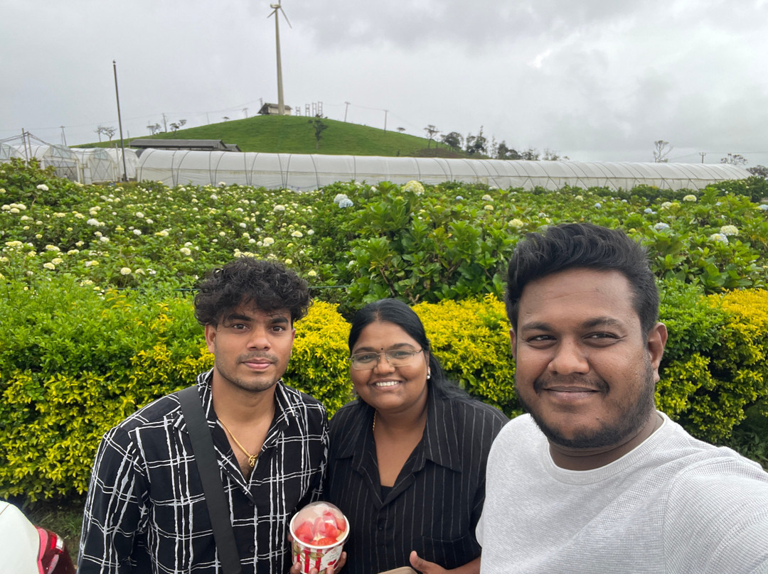 Compass Lanka Tours-Yakkala必去景点