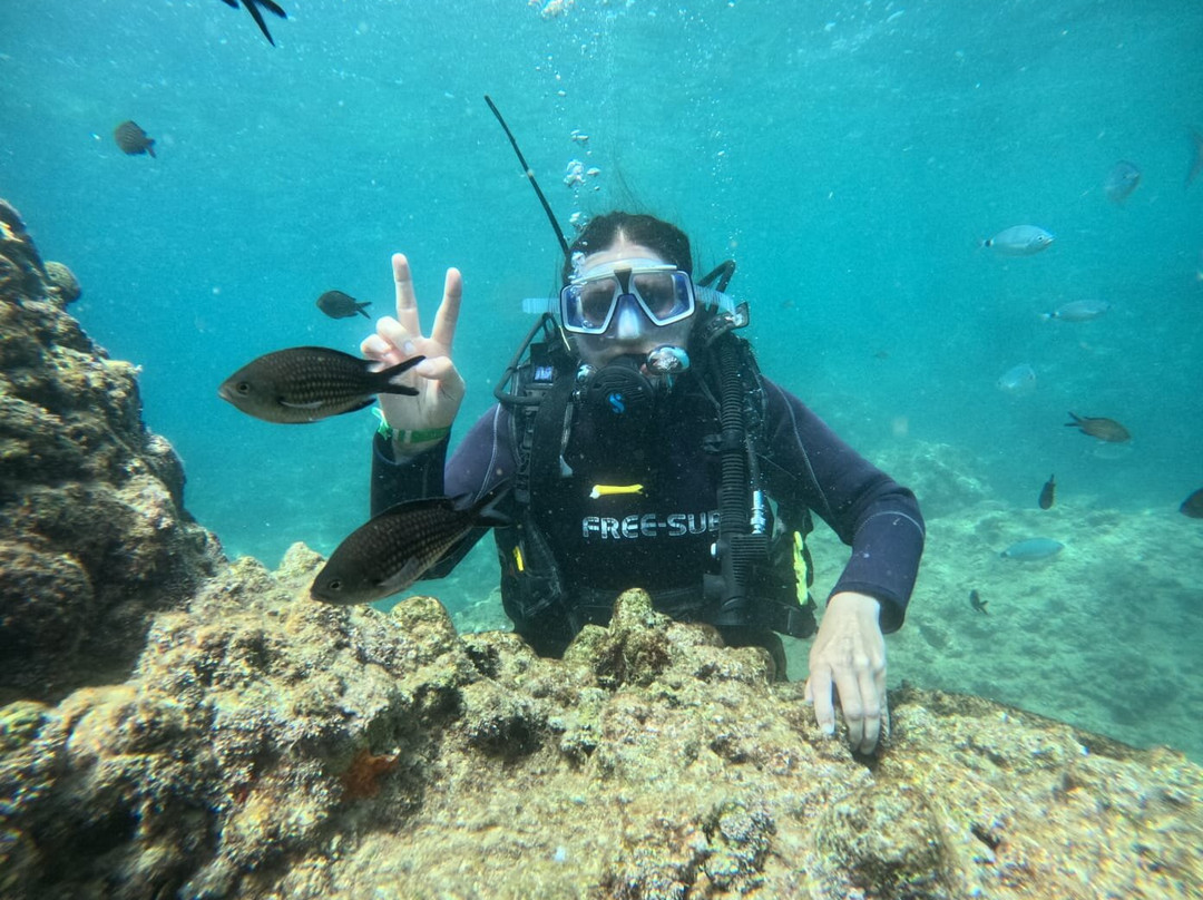 Aqua Age Diving Center - Daily Tours-凯梅尔必去景点