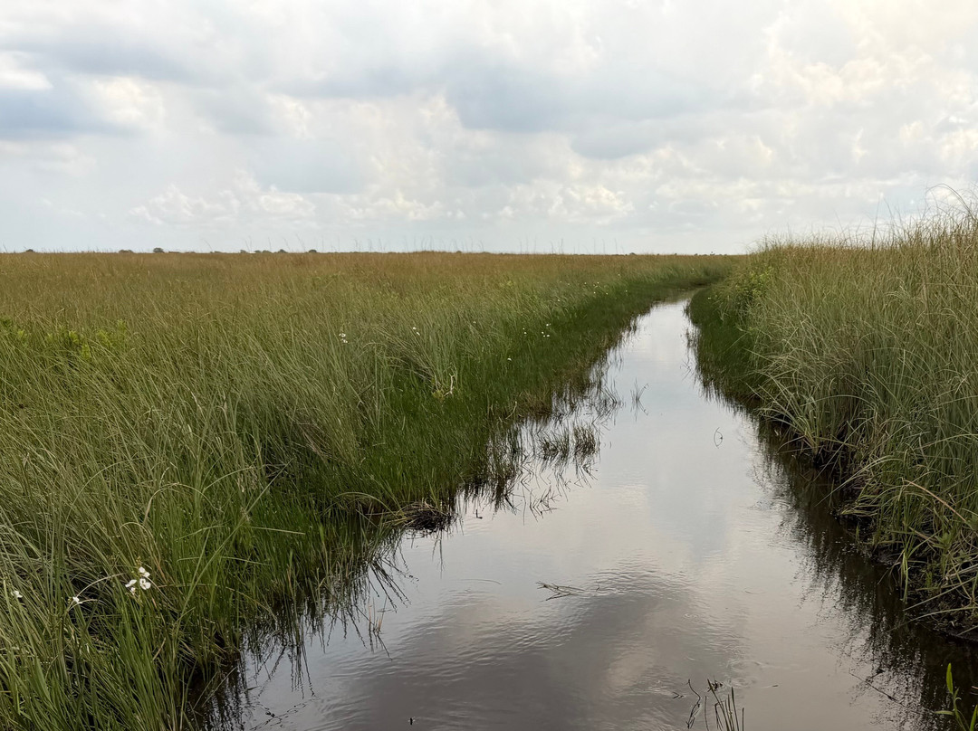 Everglades Swamp Tours-Everglades Wildlife Management Area必去景点
