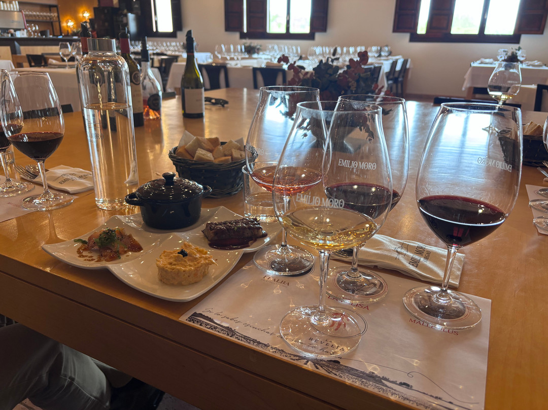 Emilio Moro Bodegas-Pesquera de Duero必去景点