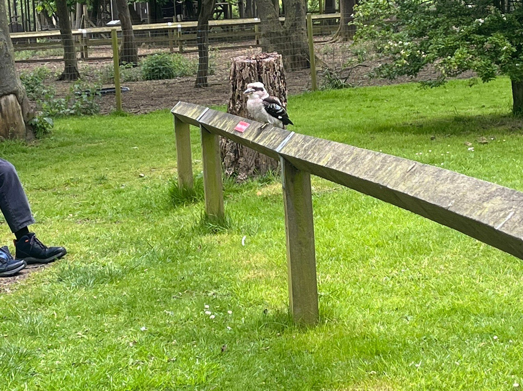 Bridlington Animal Park-布里德灵顿必去景点