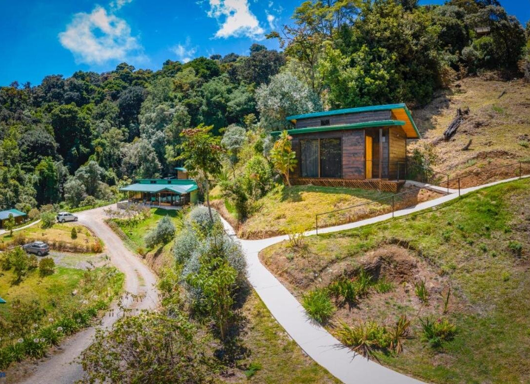 Gema del Bosque