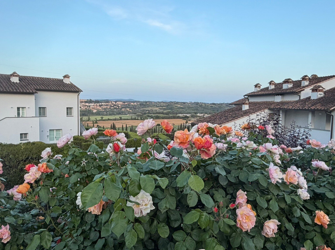 Hilton Grand Vacations Club at Borgo alle Vigne主图