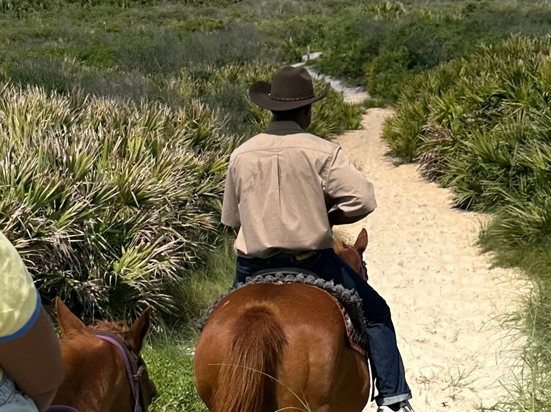 Equestrian Adventures of Florida-代托纳比奇必去景点