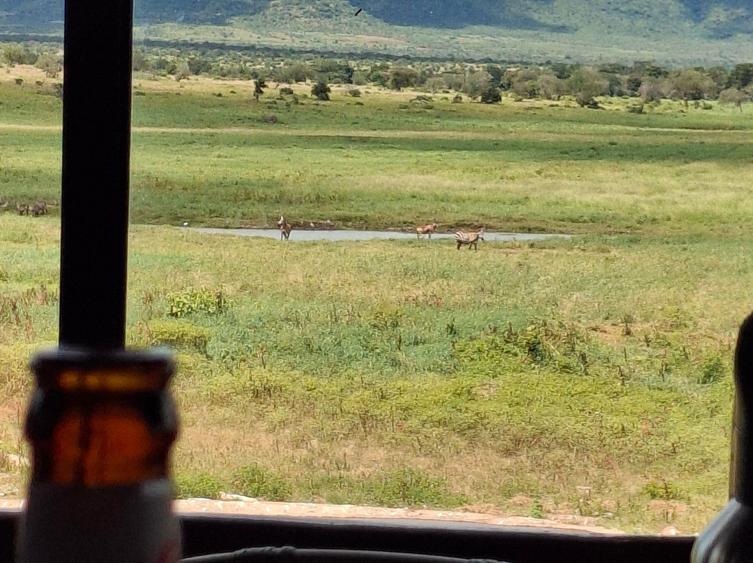 Taita Hills Wildlife Sanctuary-西察沃国家公园必去景点