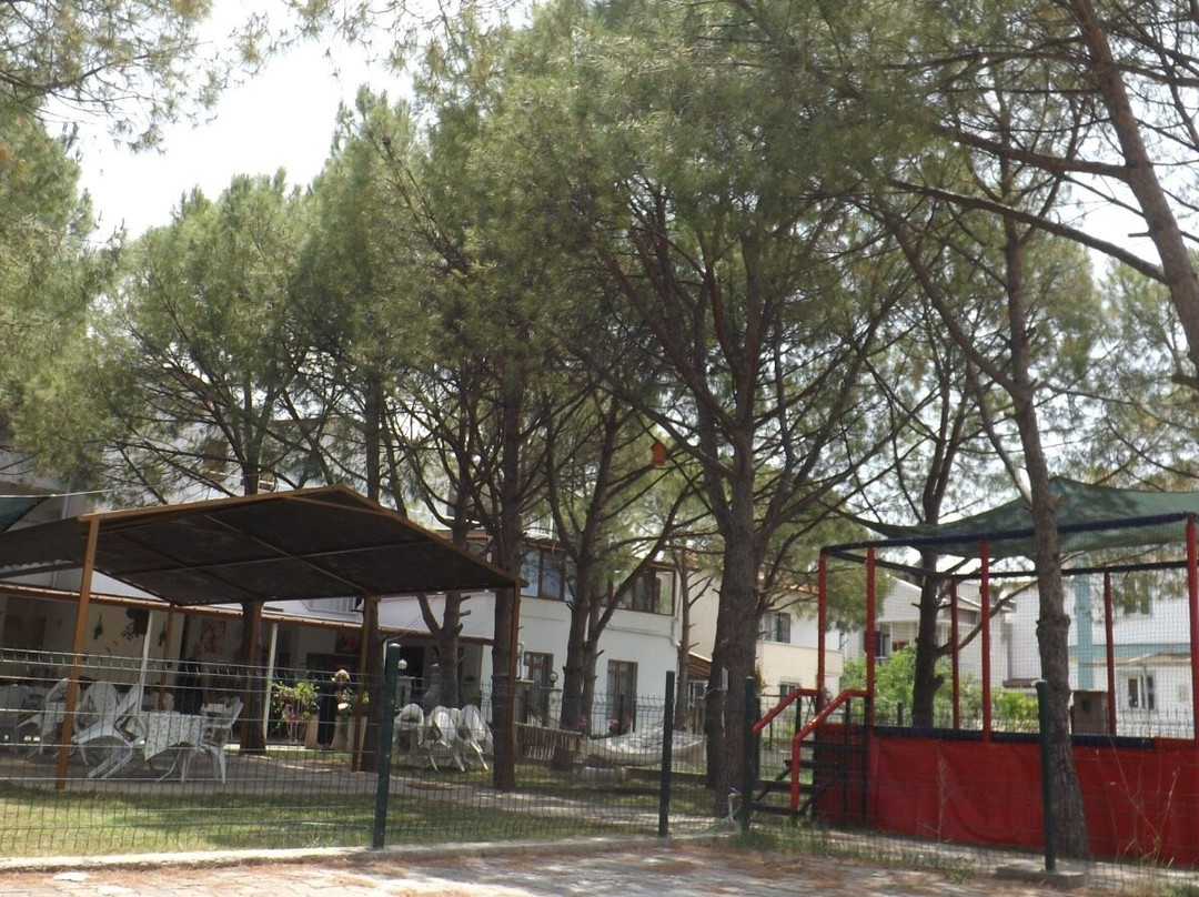 Diamond Pansiyon
