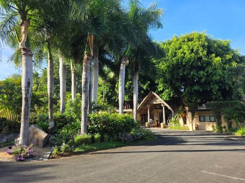 金沙套房水疗度假村-旅行者