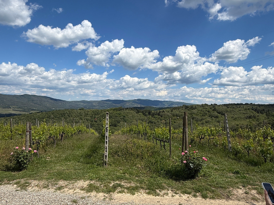 Solatione-Mercatale di Val di Pesa必去景点