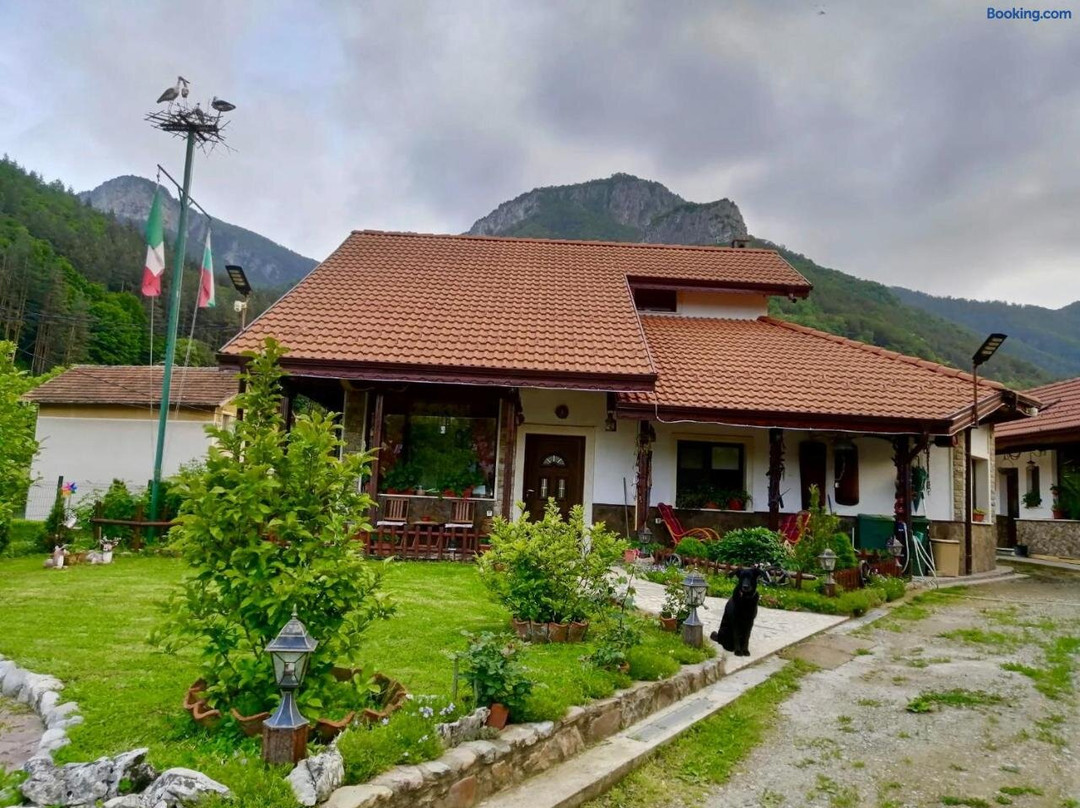 Dolphin Residence Bulgaria