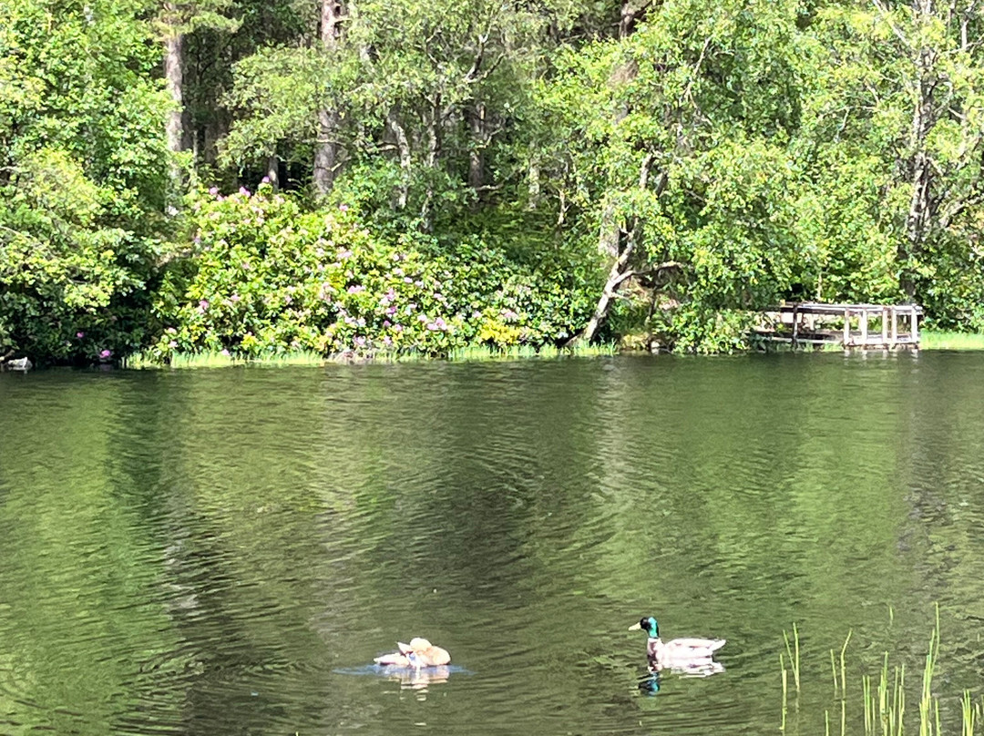 Glencoe Lochan-Glencoe Village必去景点