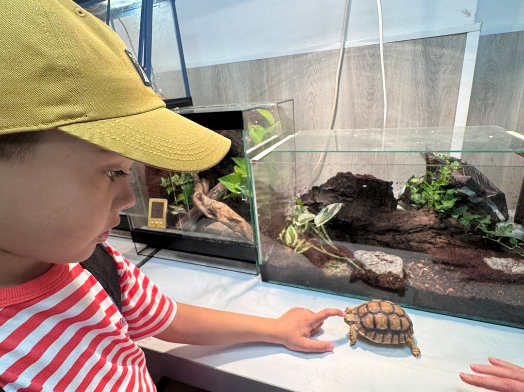 Butterfly House Varna-瓦尔纳必去景点