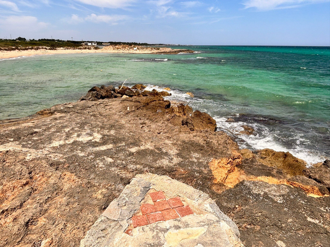 Spiaggia Torre Guaceto-Carovigno必去景点