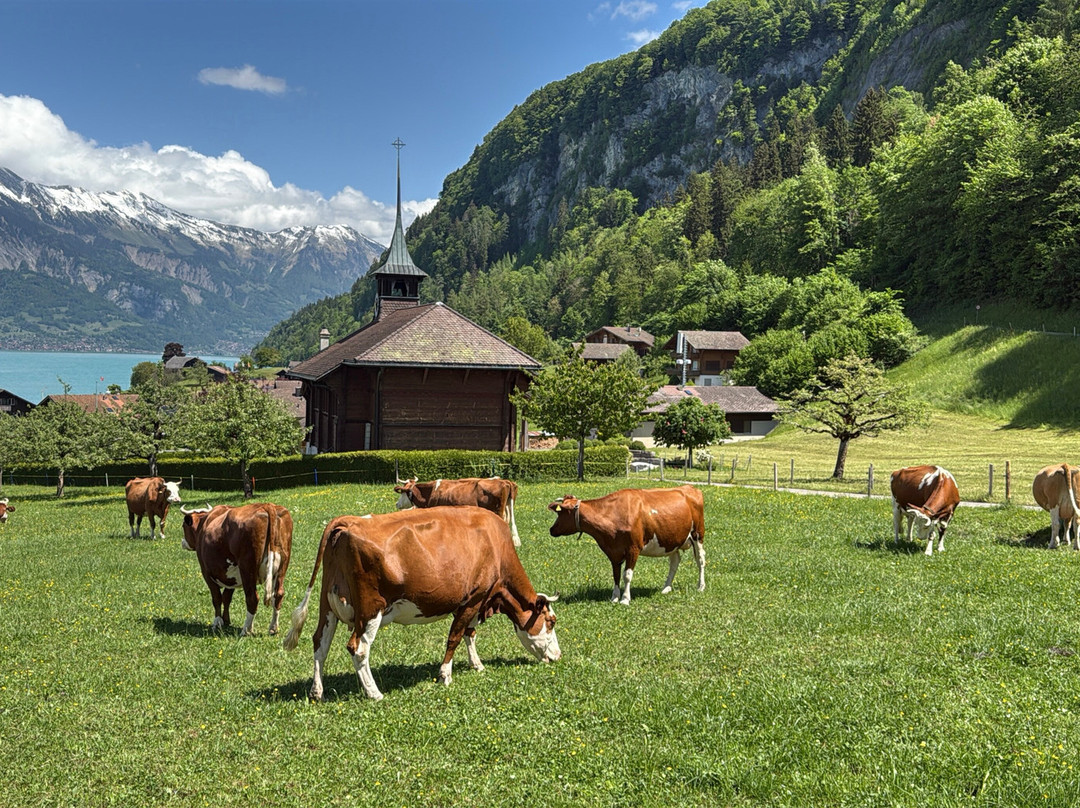 Swiss Private Tour-苏黎世必去景点