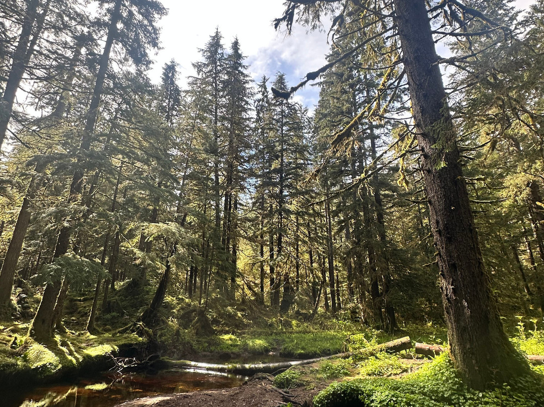 Tongass National Forest-凯奇坎必去景点