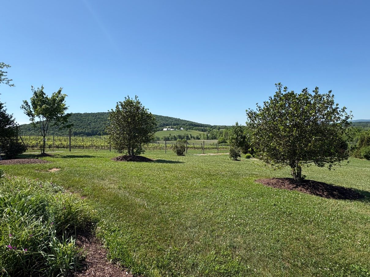 Hidden View Bed & Breakfast-旅行者