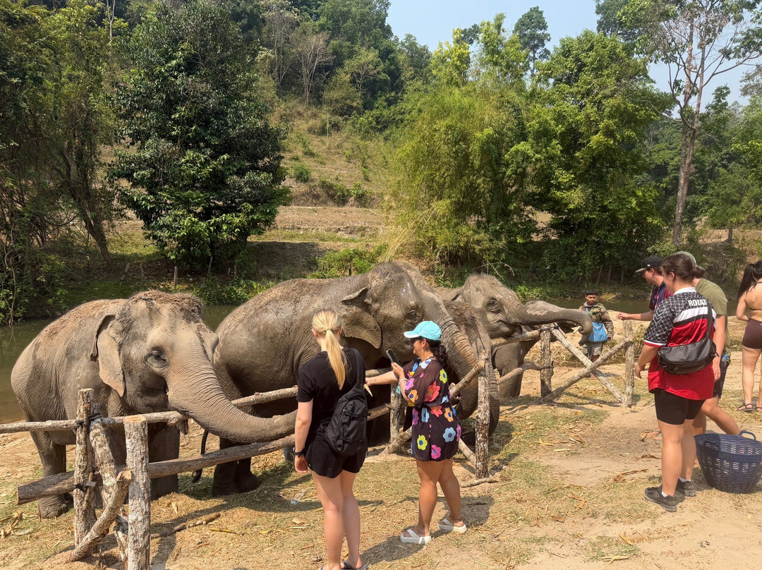 Pon Elephant Thailand-Mae Win必去景点