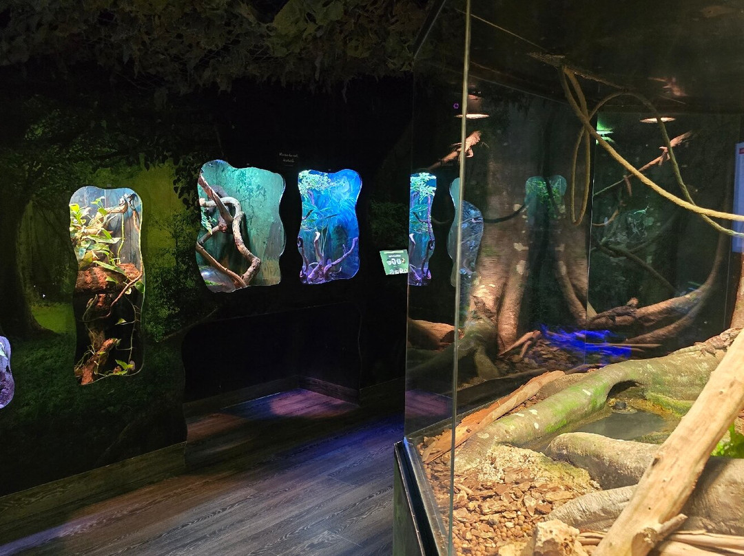Malta National Aquarium-卡拉必去景点