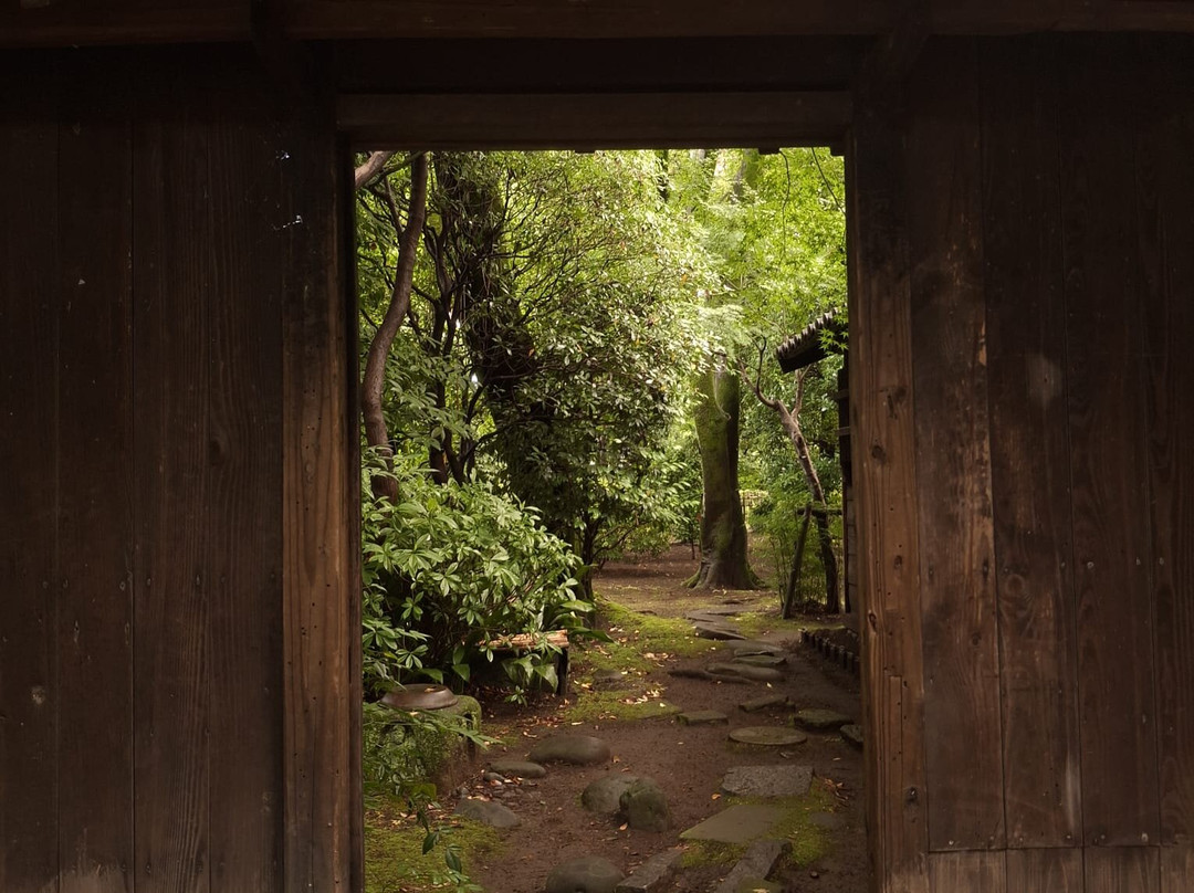 Tokyo Metropolitan Koganei Park-小金井市必去景点