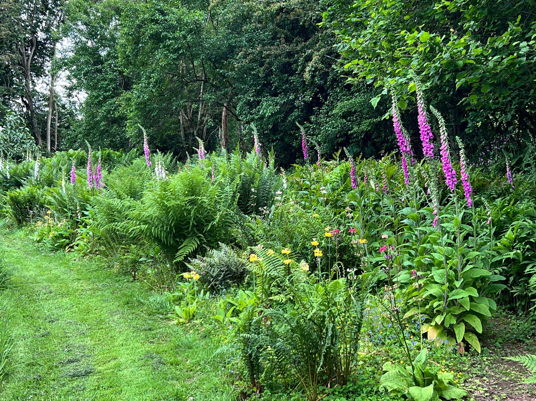 Moors Meadow Gardens-Bromyard必去景点