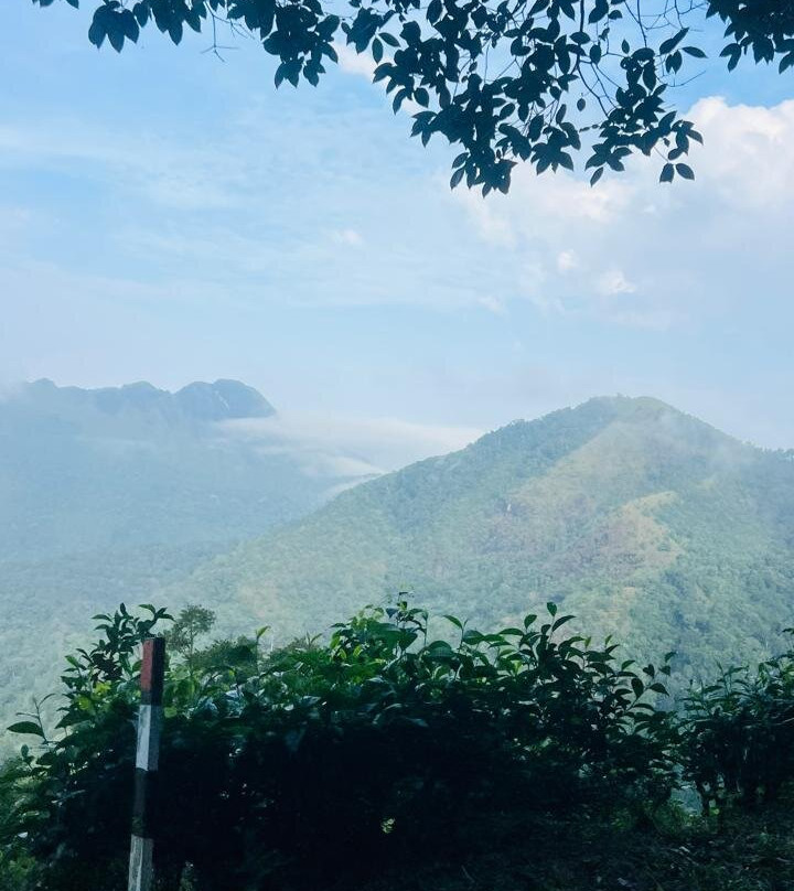 Ponmudi Hill Station-卡拉拉必去景点