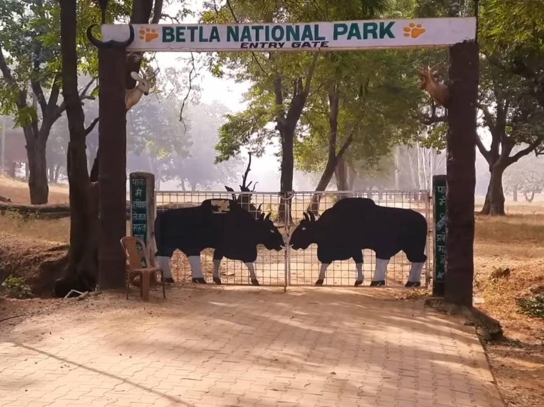 Betla National Park-Palamu District必去景点