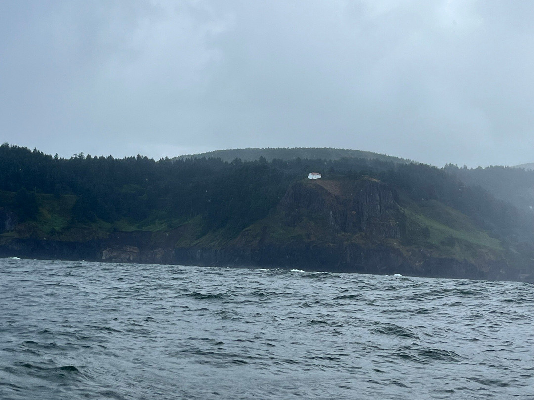 Whale Research EcoExcursions-Depoe Bay必去景点