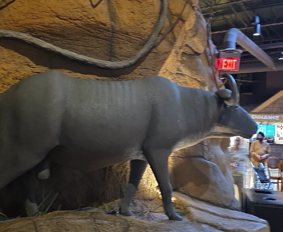 Kalahari Resorts and Conventions主图