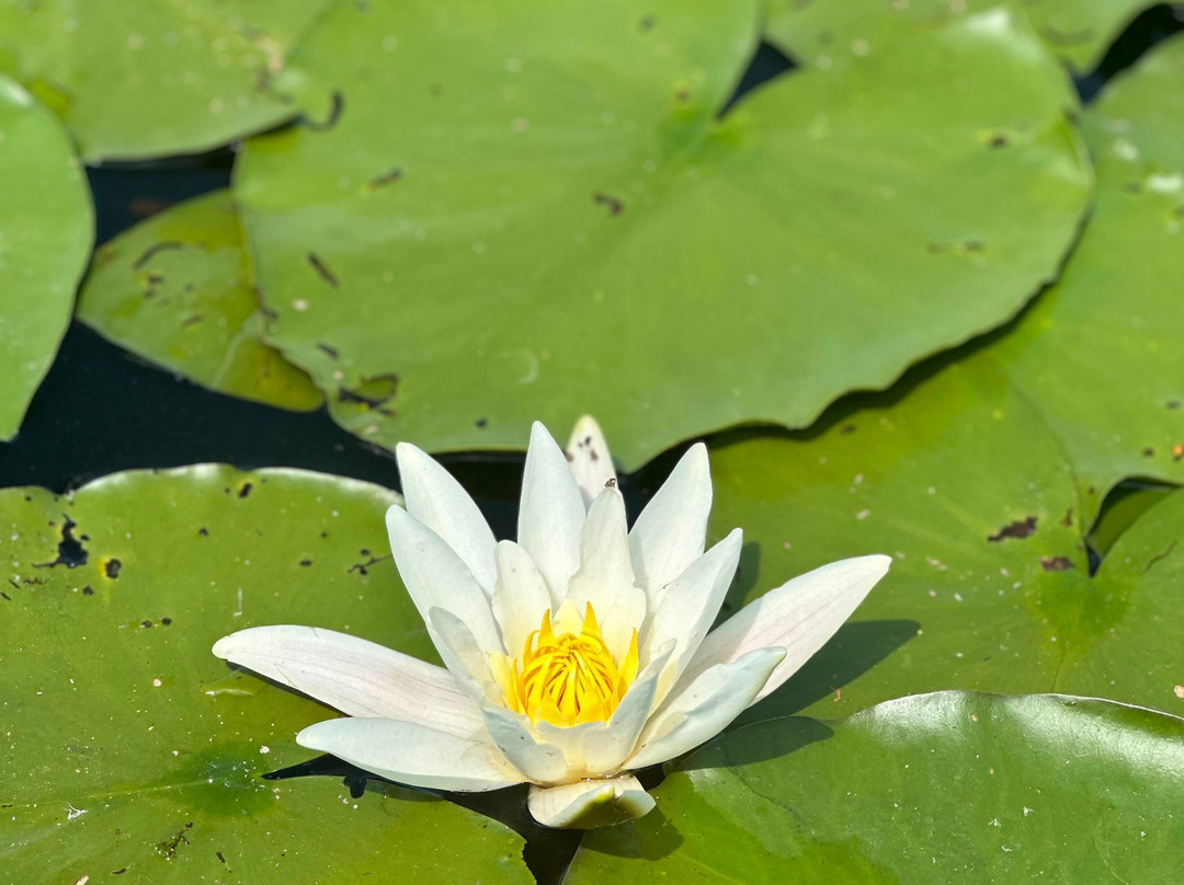 FlorianMagellan-excursii-trips-Alternative Tourism-Sulina必去景点