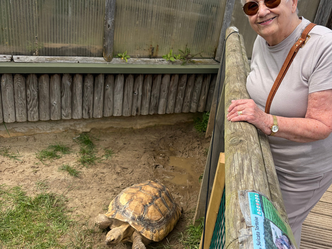 Mablethorpe Seal Sanctuary and Wildlife Centre-Mablethorpe必去景点