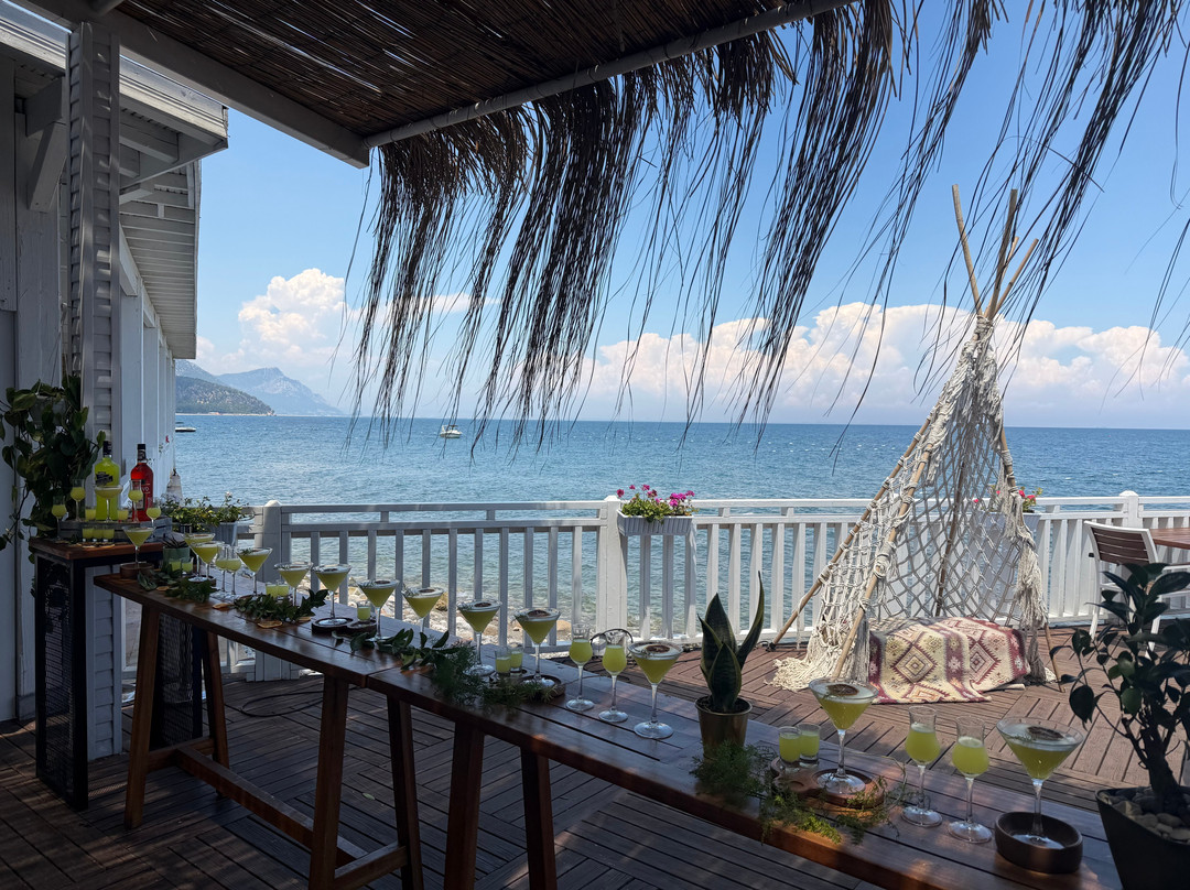 水晶弗洛莱海滩度假酒店 - 全包式主图