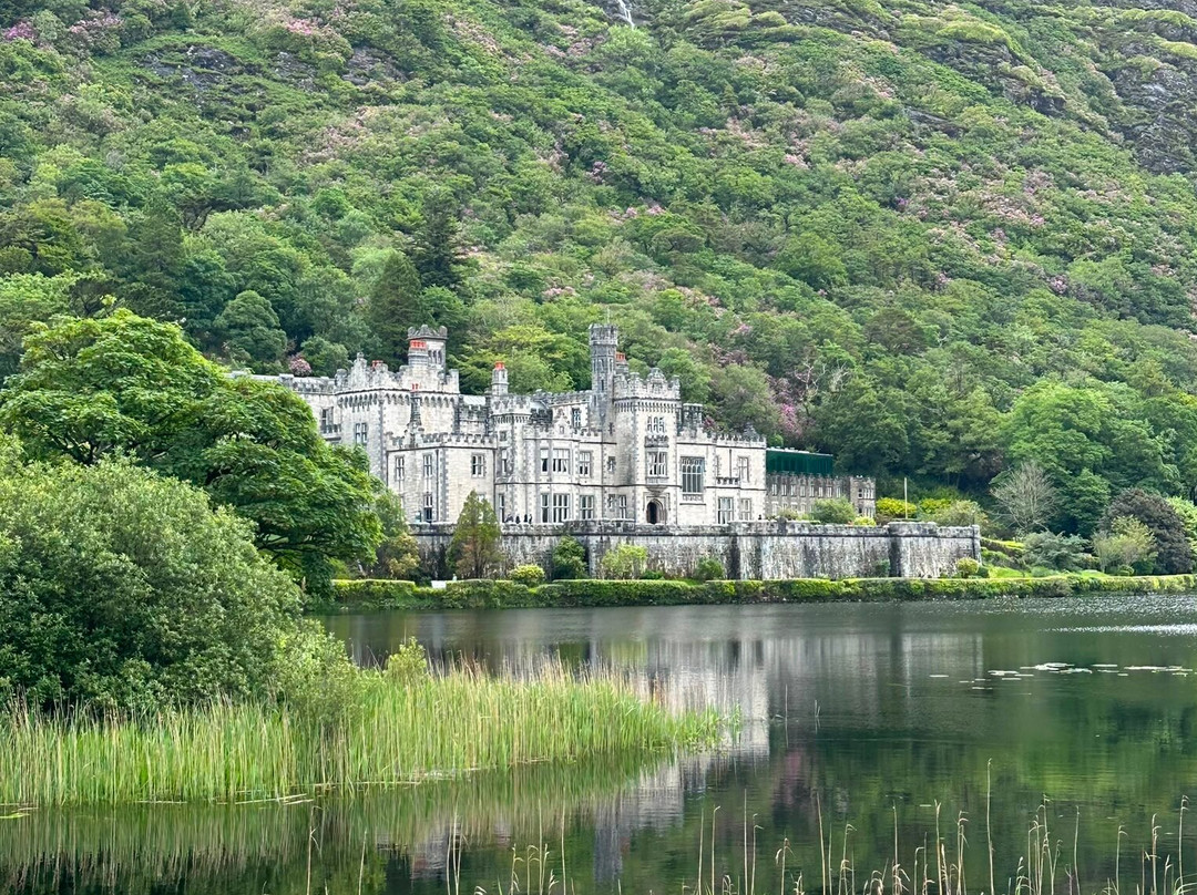 Irish Experience Tours-科克必去景点