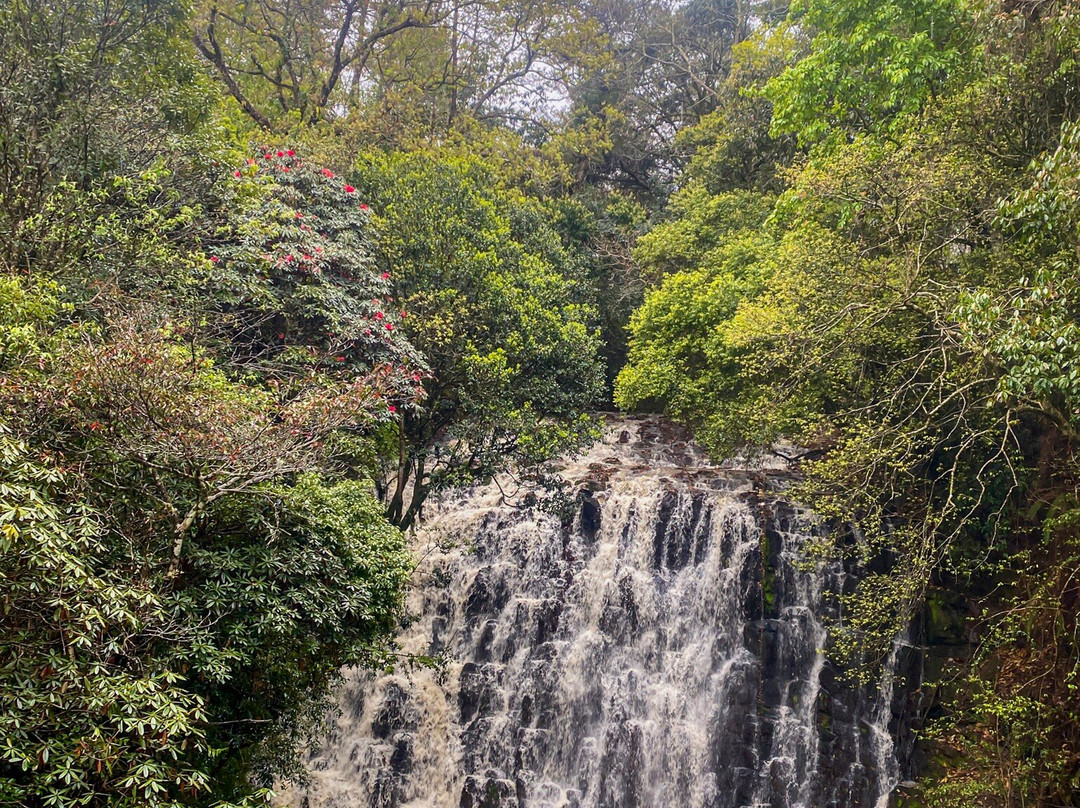 Elephant Falls-西隆必去景点