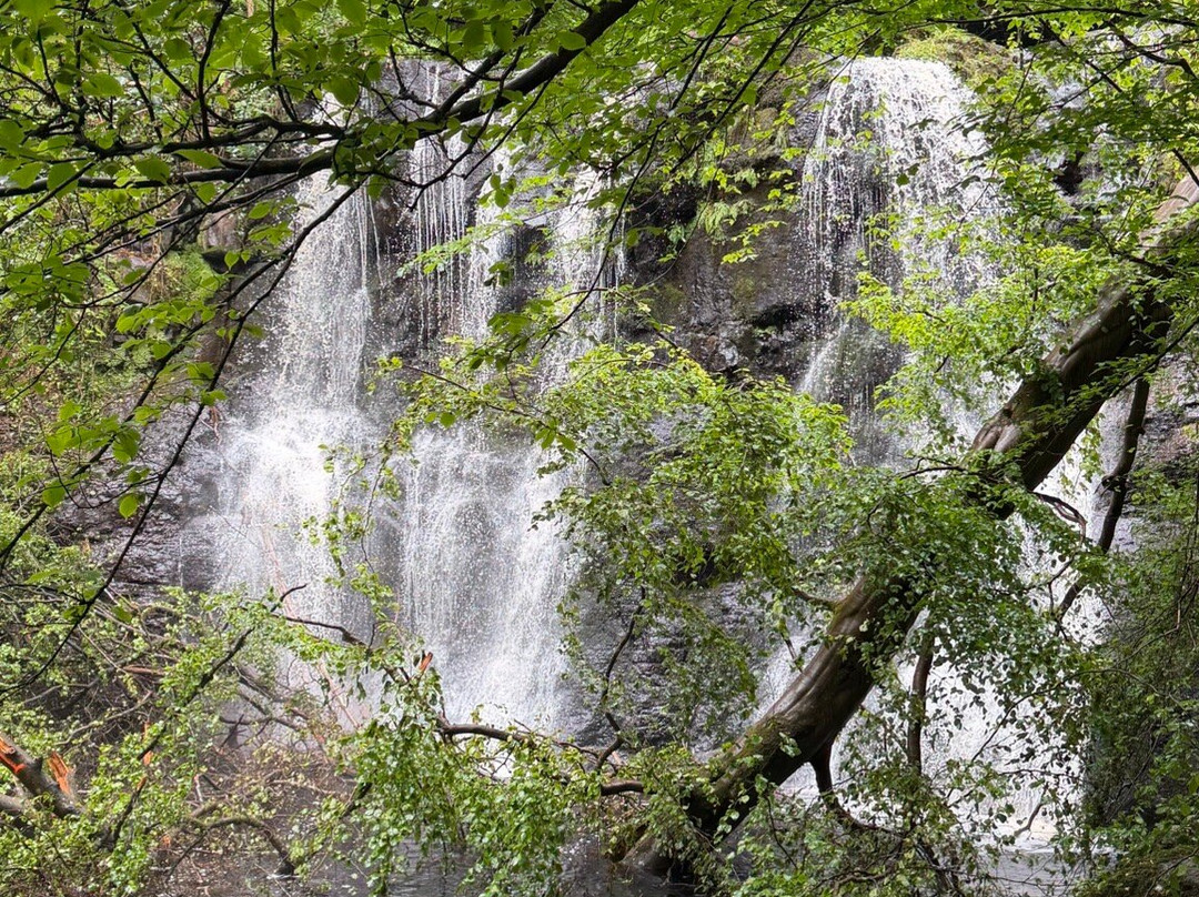 Glenariff Forest Park-County Antrim必去景点