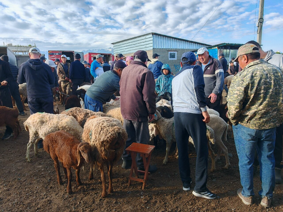 Karakol Cattle Market-Karakol必去景点
