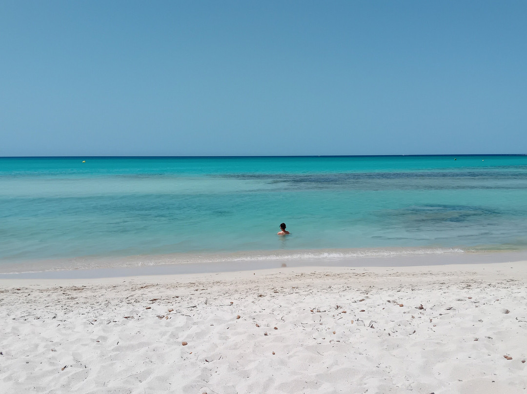 Platja d'es Trenc-Campos必去景点